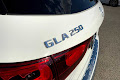 2021 Mercedes-Benz GLA GLA 250