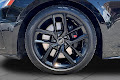 2021 Audi S5 Sportback Premium Plus