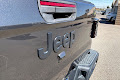 2021 Jeep Gladiator Willys